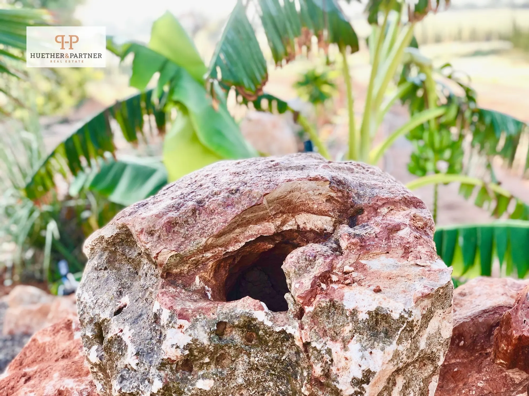 finca-kaufen-Llucmajor-mallorca-huether-partner-25-146-bild-12