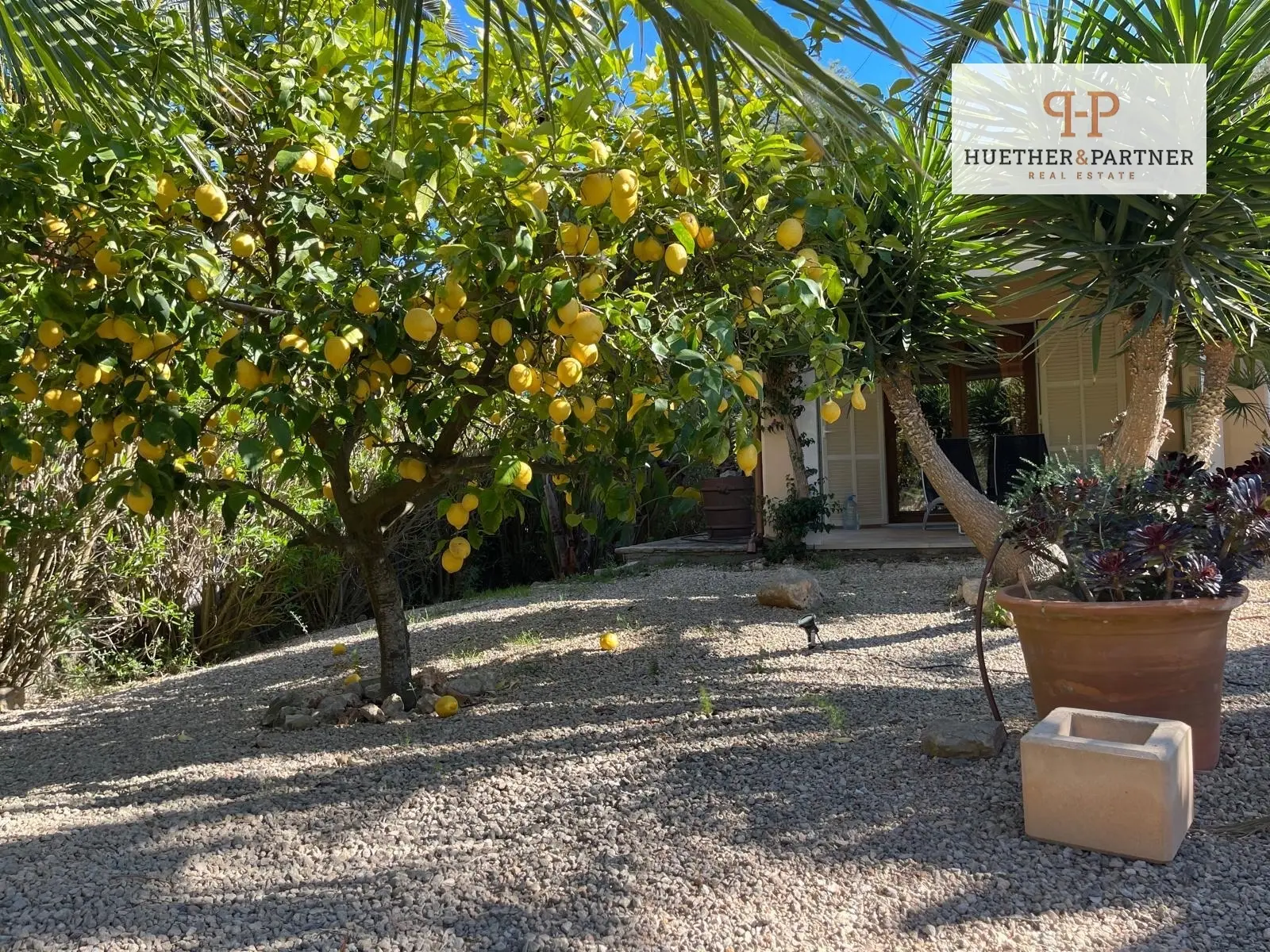 haus-kaufen-Cala Murada-mallorca-huether-partner-25-225-bild-23