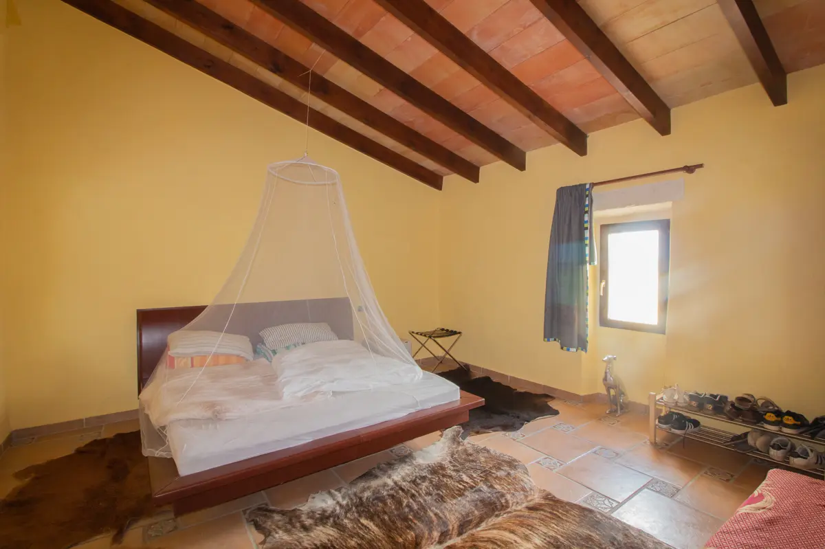 haus-kaufen-Vilafranca De Bonany-mallorca-huether-partner-19-169-bild-12