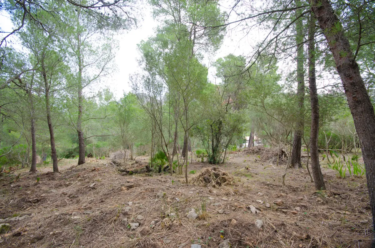 grundstueck-kaufen-Betlem-mallorca-huether-partner-20-283-bild-6