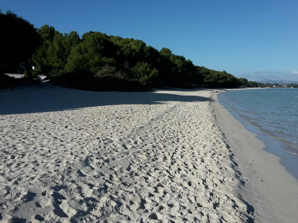 haus-kaufen-Santa Margalida-mallorca-huether-partner-23-009-bild-6
