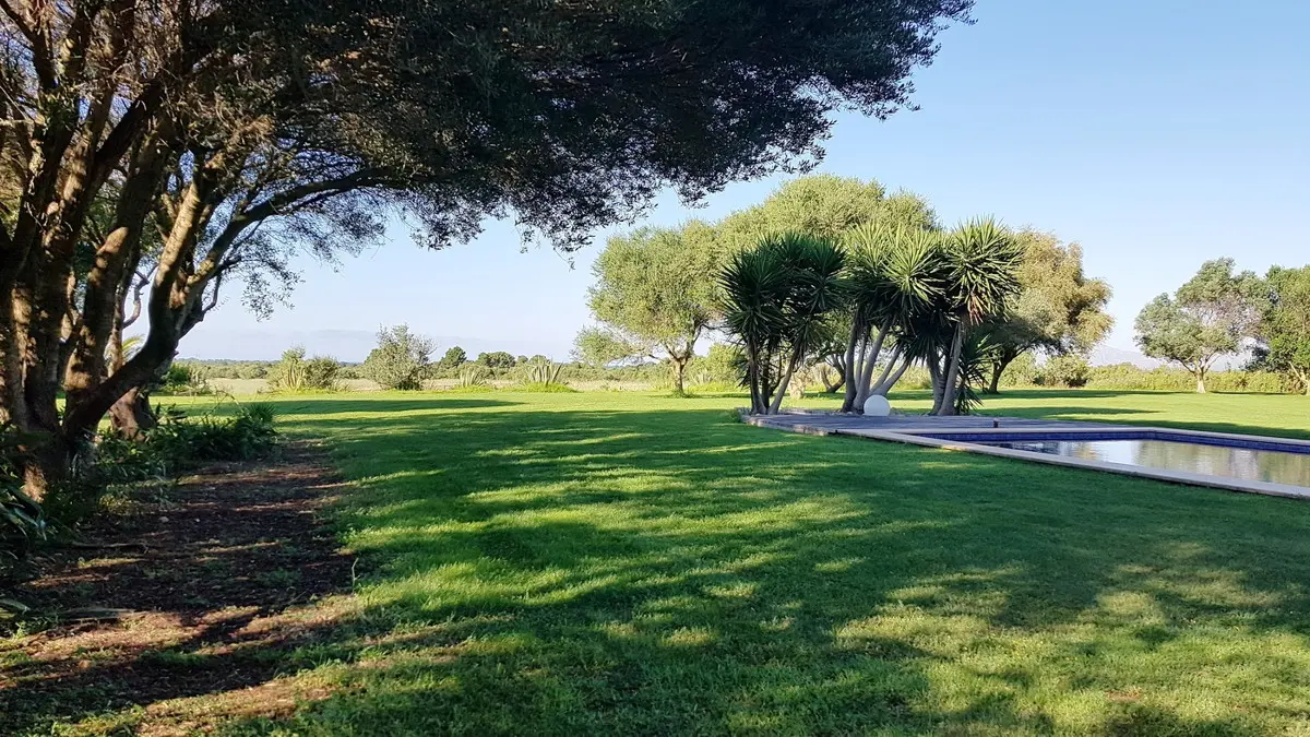 haus-kaufen-Santa Margalida-mallorca-huether-partner-23-009-bild-16