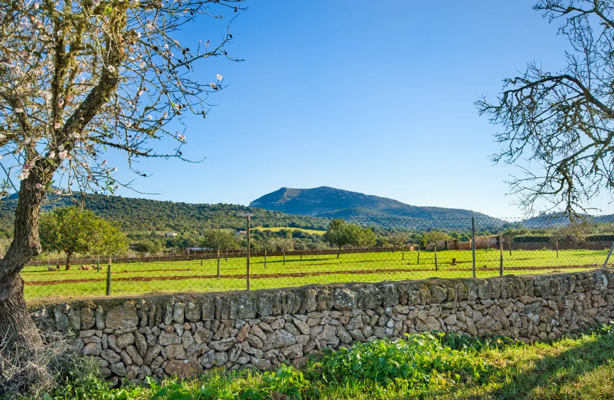 grundstueck-kaufen-Colonia de Sant Pere,-mallorca-huether-partner-23-012-bild-16