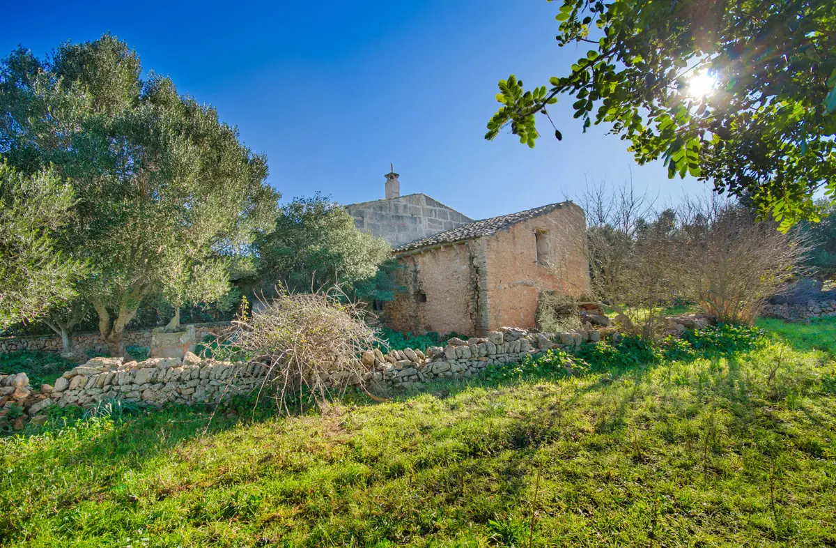 grundstueck-kaufen-Colonia de Sant Pere,-mallorca-huether-partner-23-012-bild-13