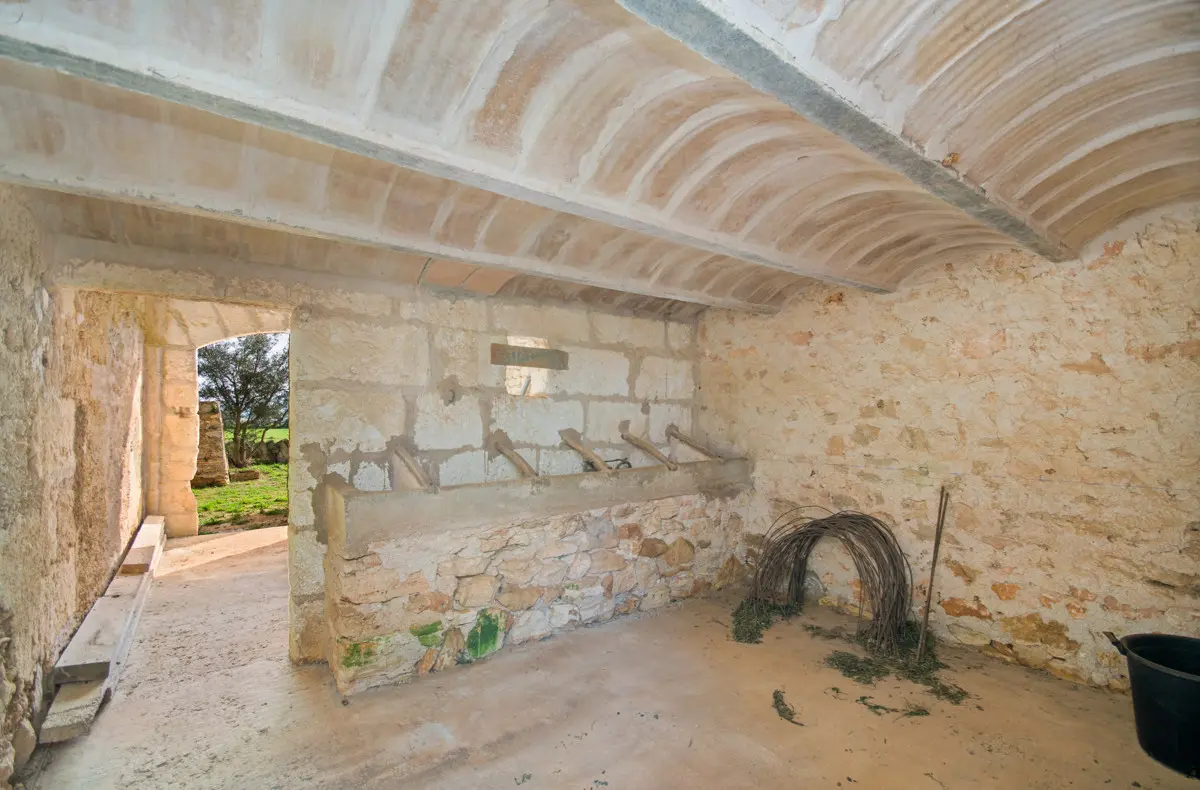 grundstueck-kaufen-Son Negre-mallorca-huether-partner-23-091-bild-10