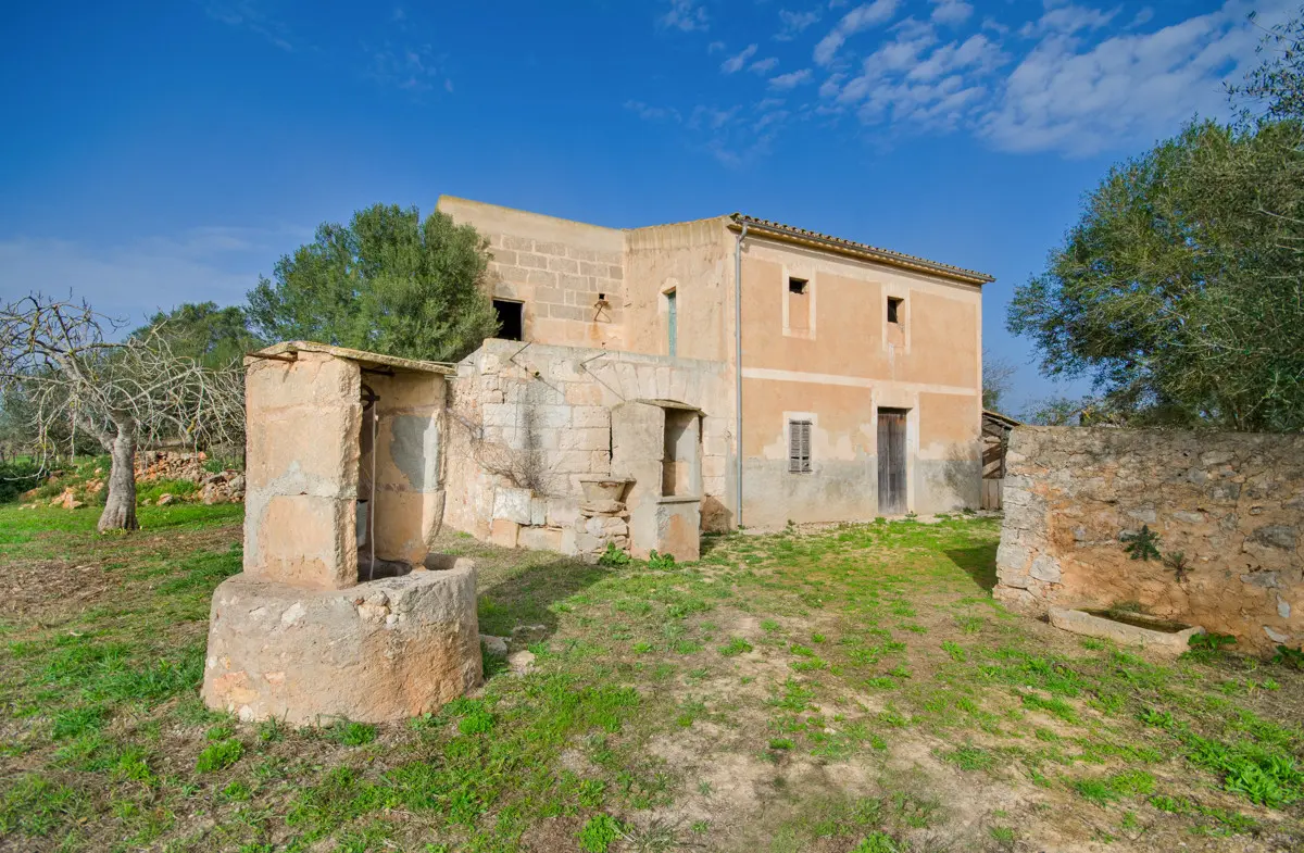 grundstueck-kaufen-Son Negre-mallorca-huether-partner-23-091-bild-1