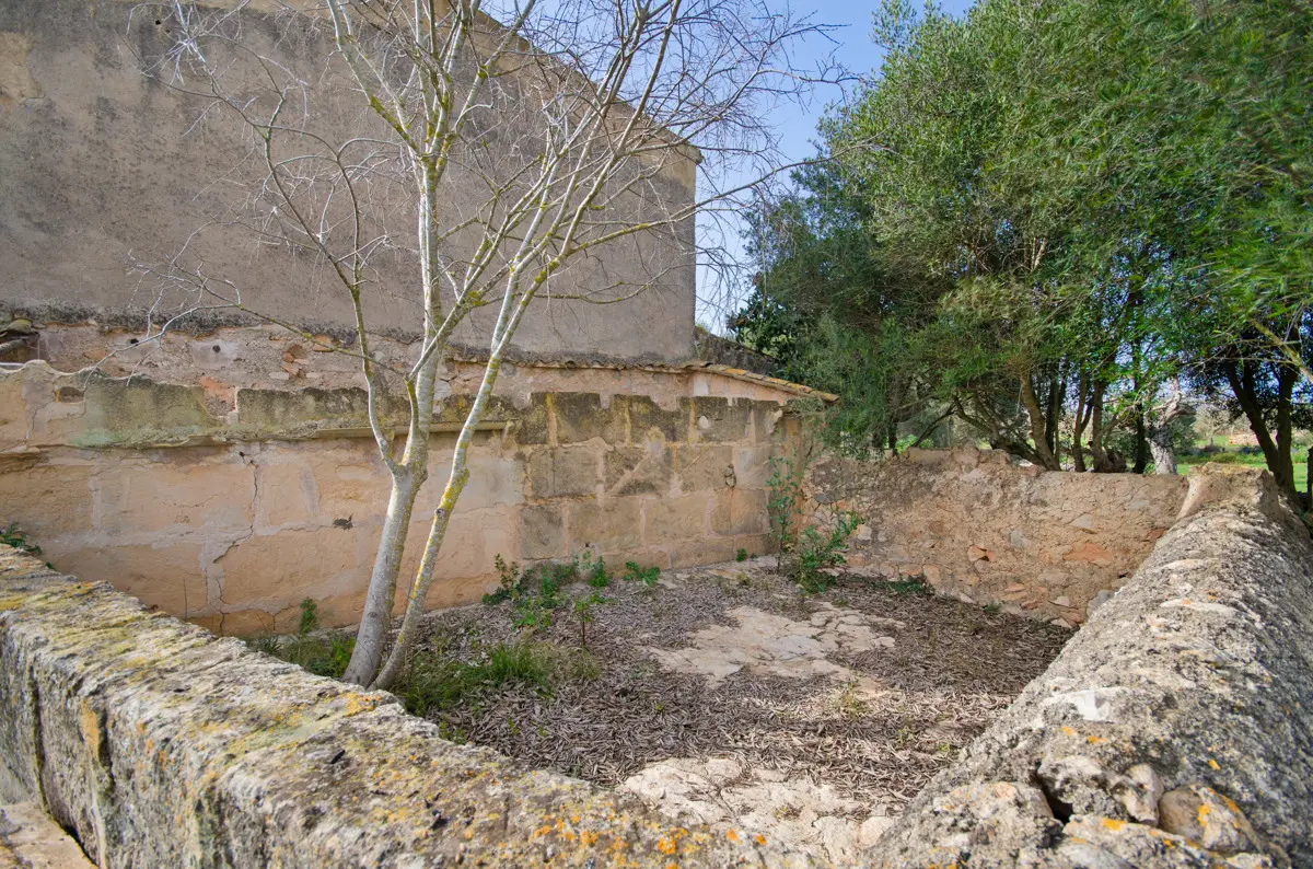 grundstueck-kaufen-Son Negre-mallorca-huether-partner-23-091-bild-13