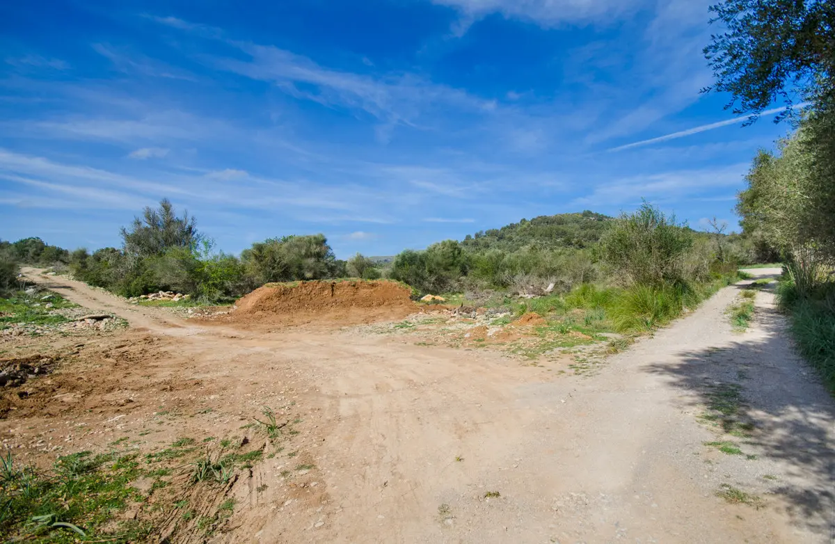 grundstueck-kaufen-Arta-mallorca-huether-partner-23-101-bild-14