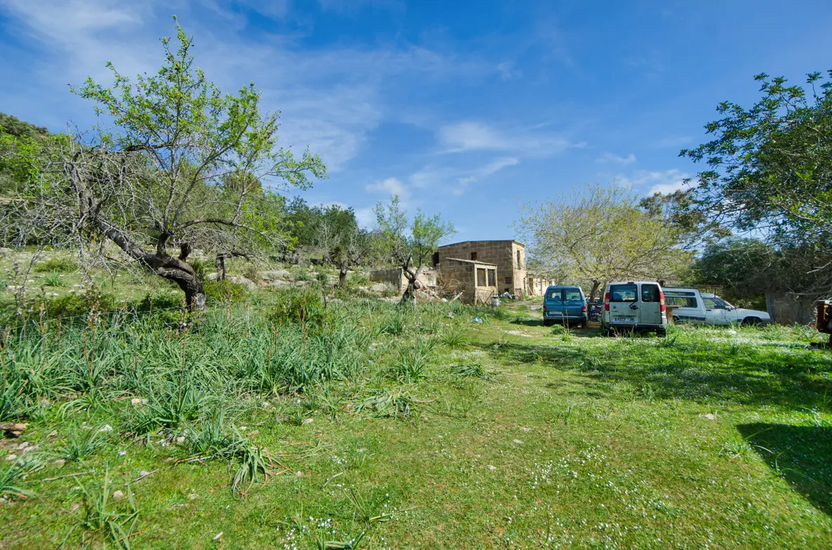 grundstueck-kaufen-Arta-mallorca-huether-partner-23-101-bild-12