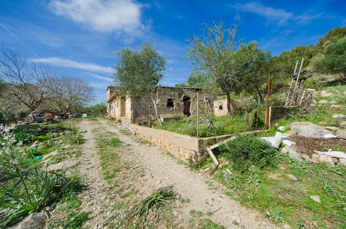 grundstueck-kaufen-Arta-mallorca-huether-partner-23-101-bild-9
