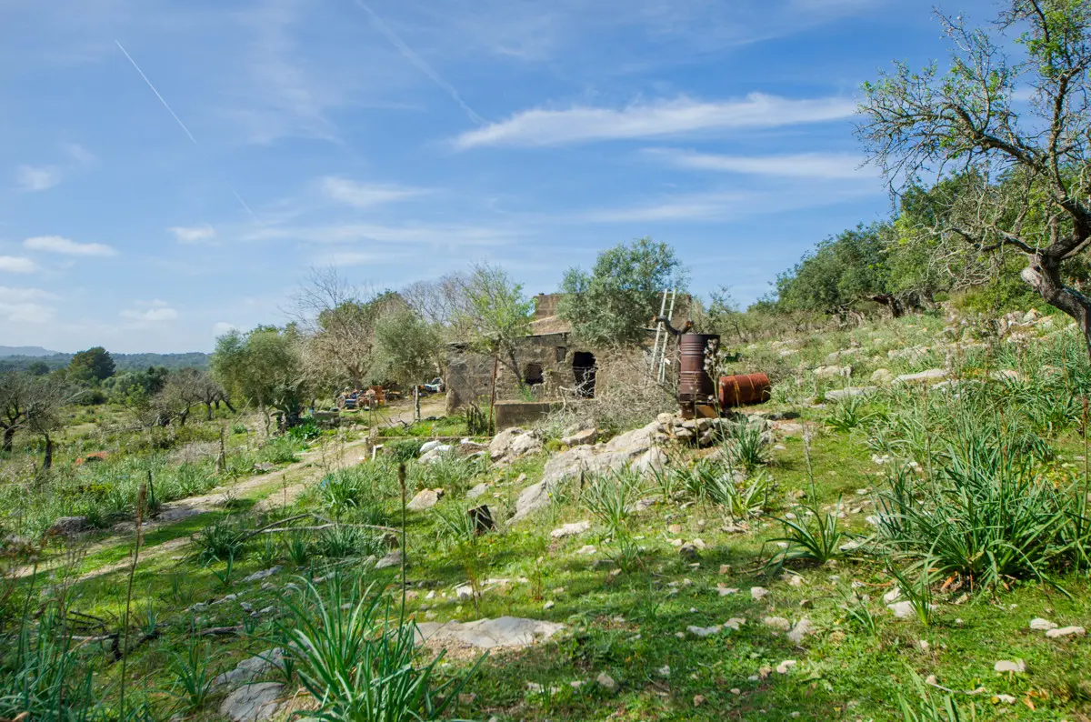 grundstueck-kaufen-Arta-mallorca-huether-partner-23-101-bild-7
