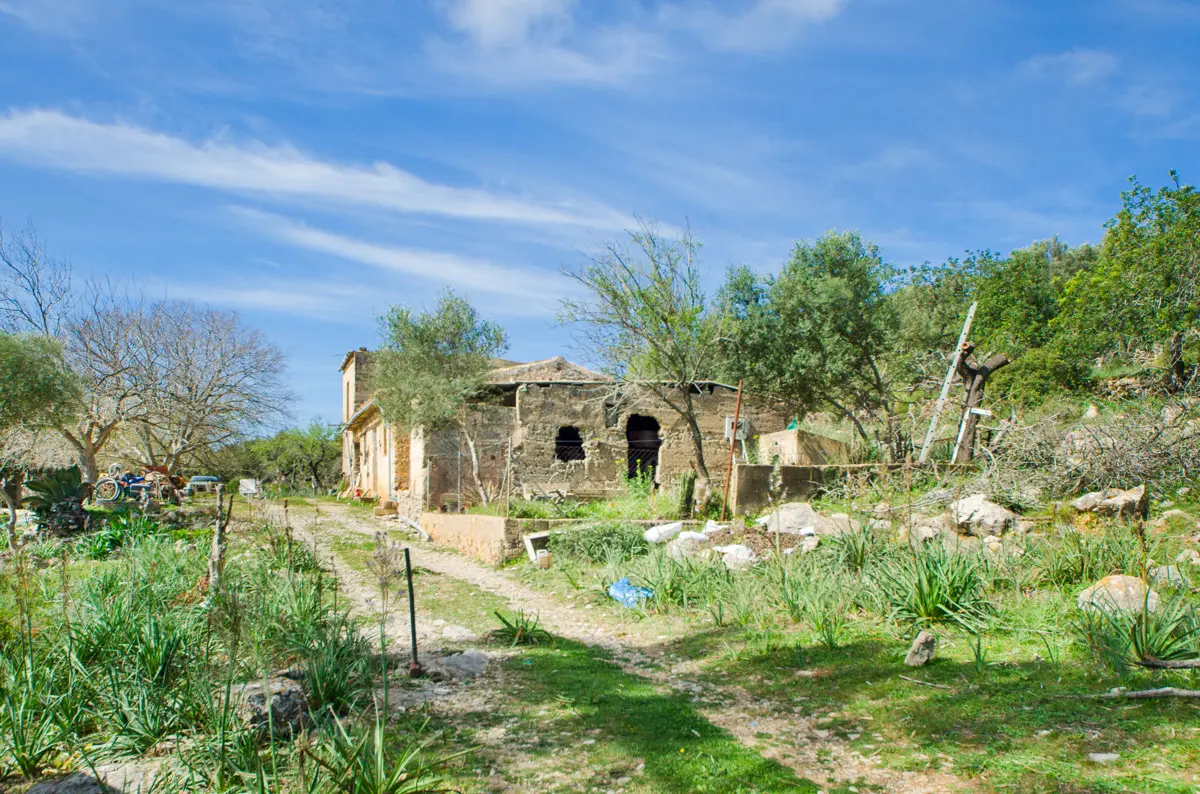 grundstueck-kaufen-Arta-mallorca-huether-partner-23-101-bild-6