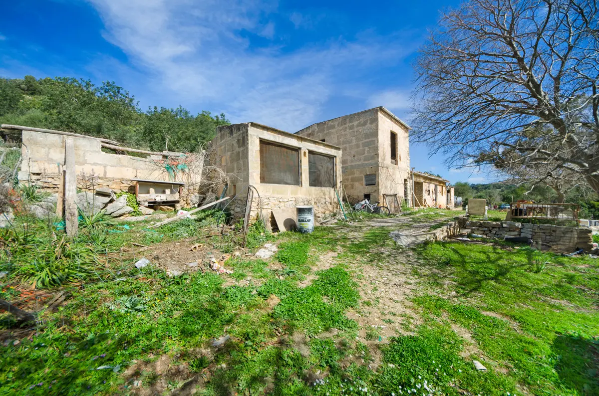 grundstueck-kaufen-Arta-mallorca-huether-partner-23-101-bild-13