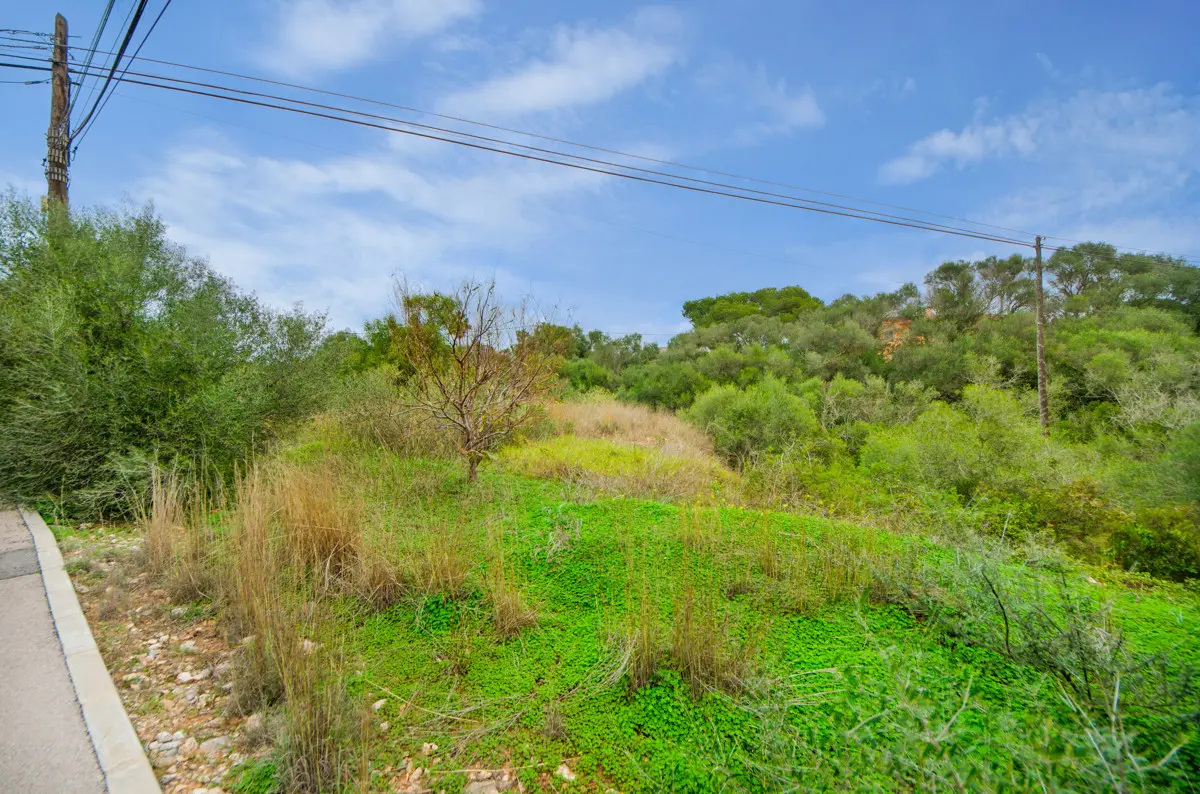 grundstueck-kaufen-Sant Llorenç Des Cardassar-mallorca-huether-partner-24-011-bild-1