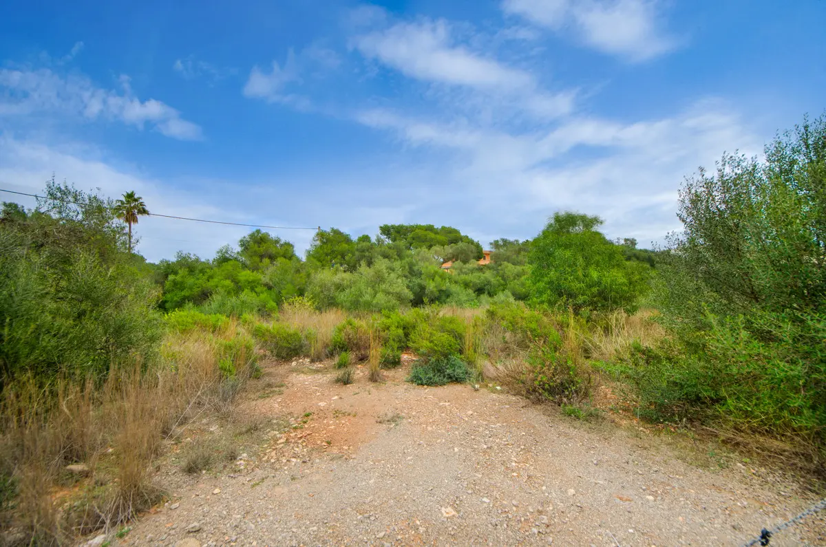 grundstueck-kaufen-Sant Llorenç Des Cardassar-mallorca-huether-partner-24-011-bild-8