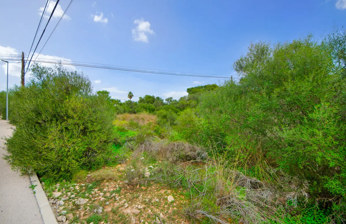 grundstueck-kaufen-Sant Llorenç Des Cardassar-mallorca-huether-partner-24-011-bild-6