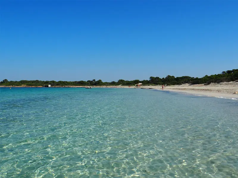 wohnung-kaufen-Colonia De Sant Jordi-mallorca-huether-partner-24-102-bild-12