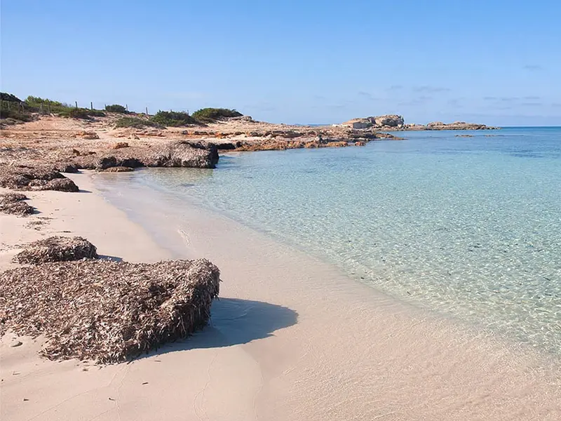 wohnung-kaufen-Colonia De Sant Jordi-mallorca-huether-partner-24-102-bild-9