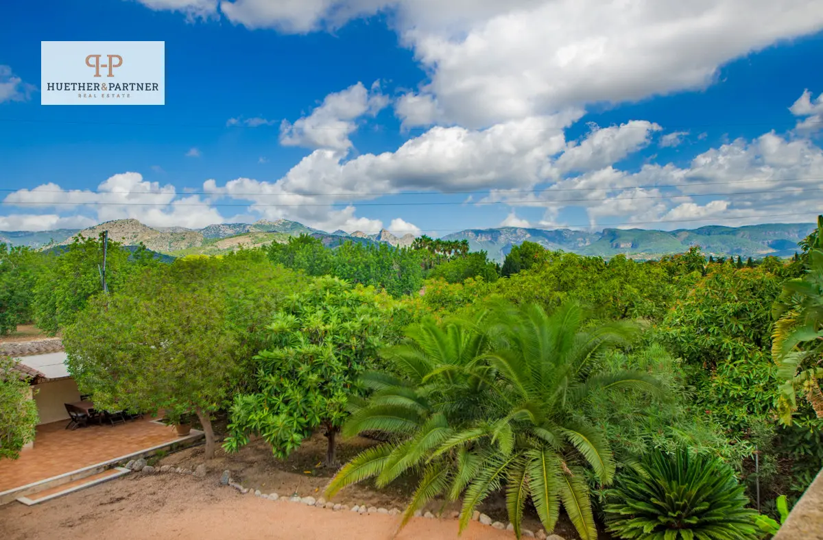 haus-kaufen-Palma-mallorca-huether-partner-24-154-bild-13