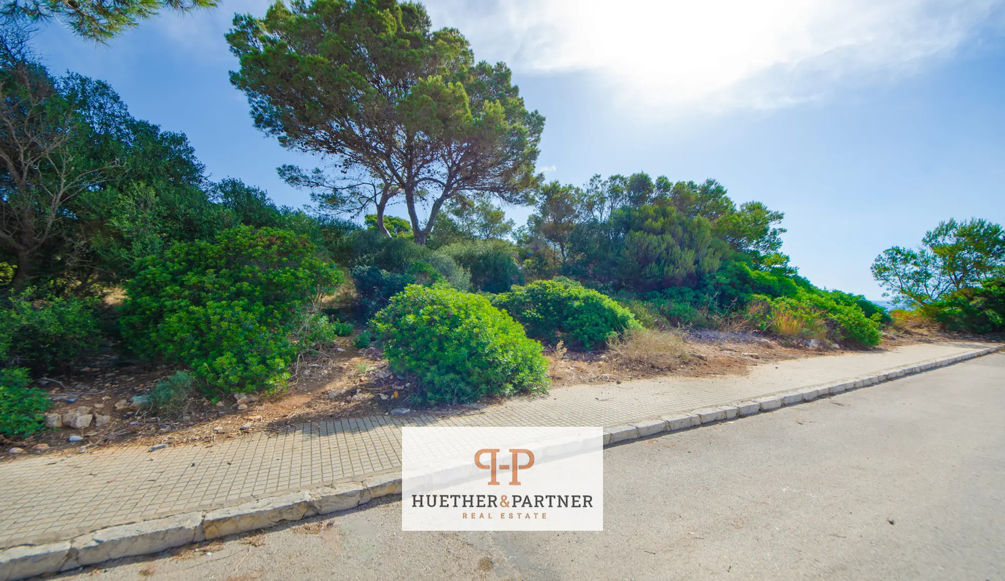 grundstueck-kaufen-Portocristo-mallorca-huether-partner-26-054-bild-12