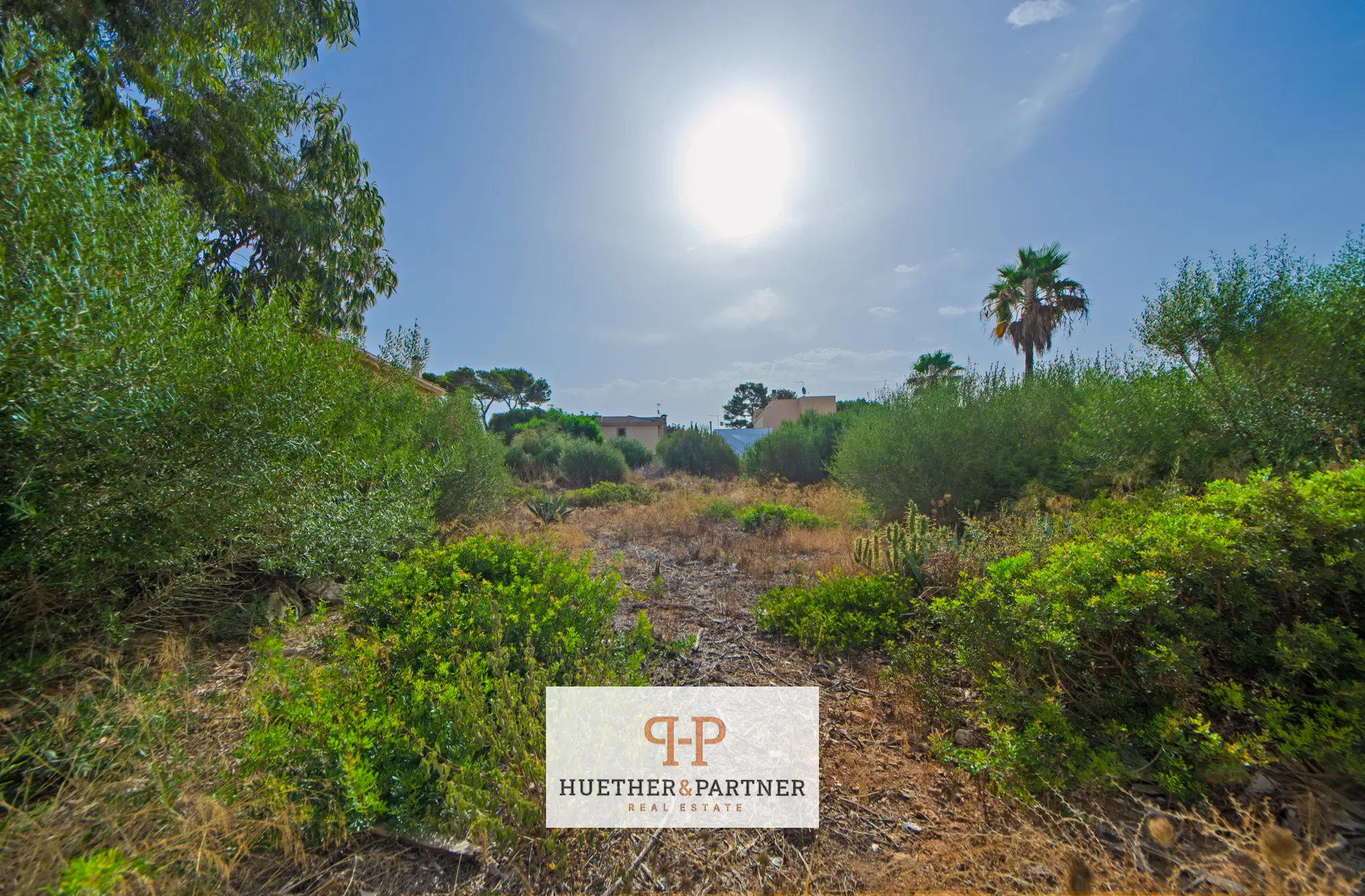 grundstueck-kaufen-Tolleric-mallorca-huether-partner-26-058-bild-6