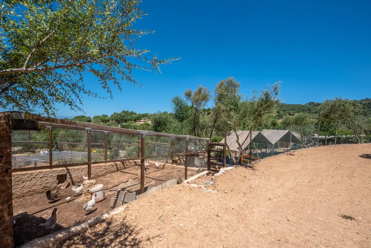 Finca mit Pool, Studio & Tennis in idyllischer Landlage — Foto 13