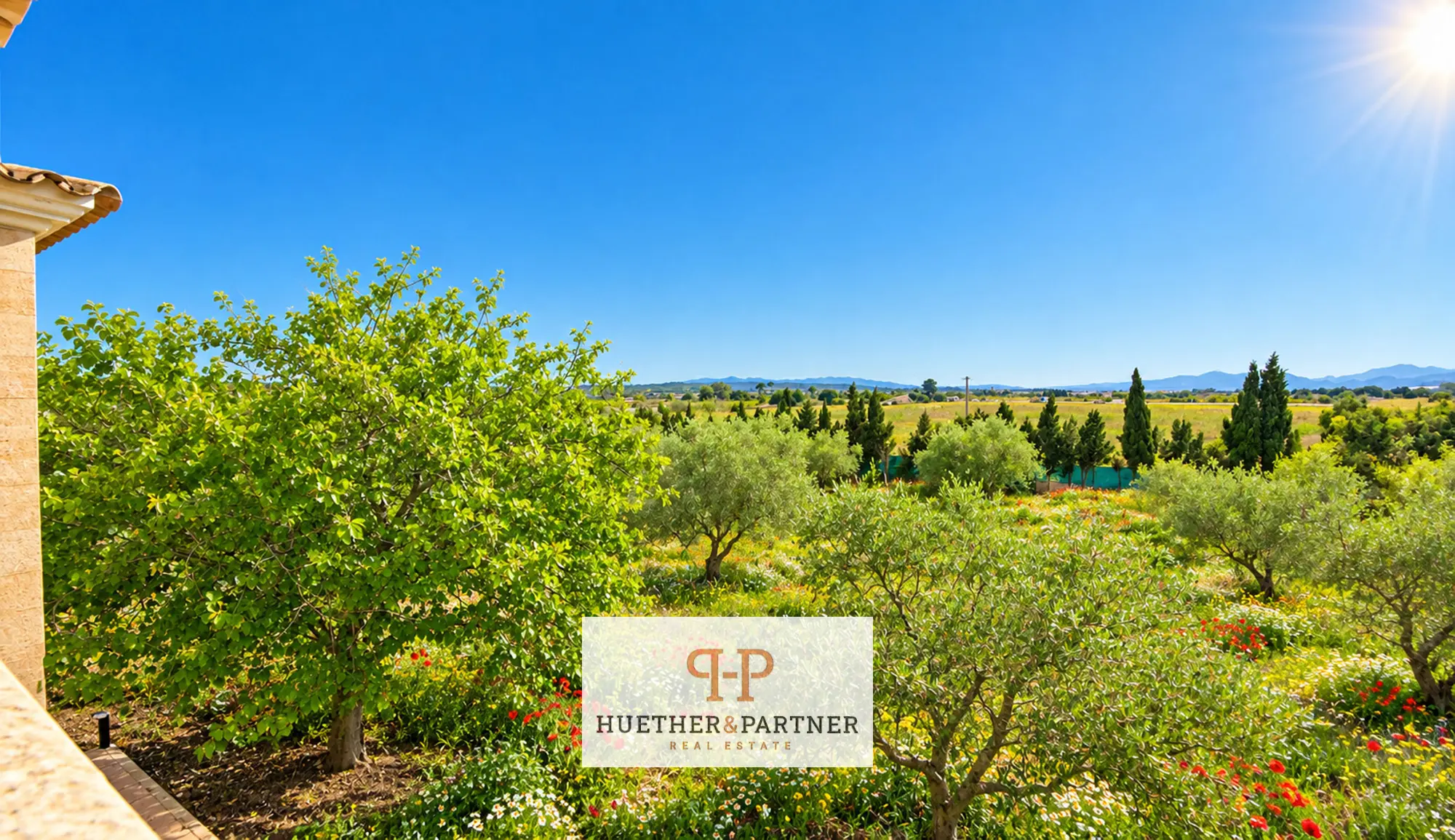 haus-kaufen-Santa Maria Del Cami-mallorca-huether-partner-26-079-bild-14