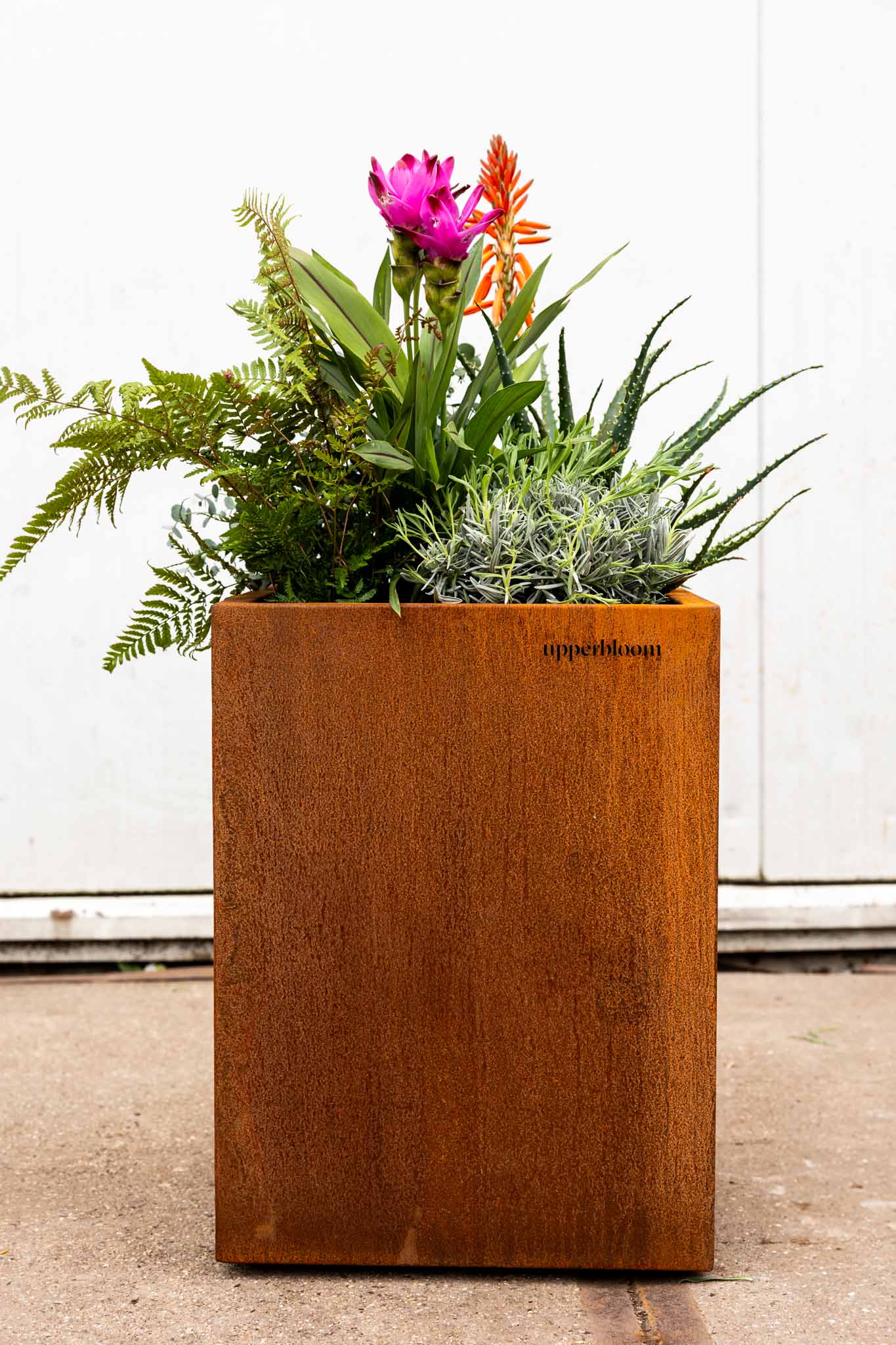 Cube 60 | CORTENSTAAL