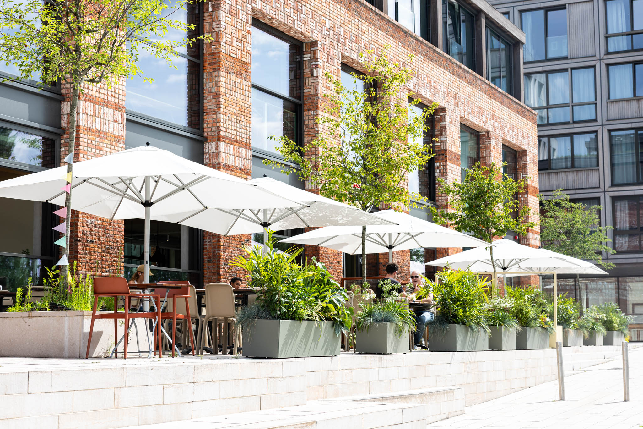 Papillon | Amsterdam