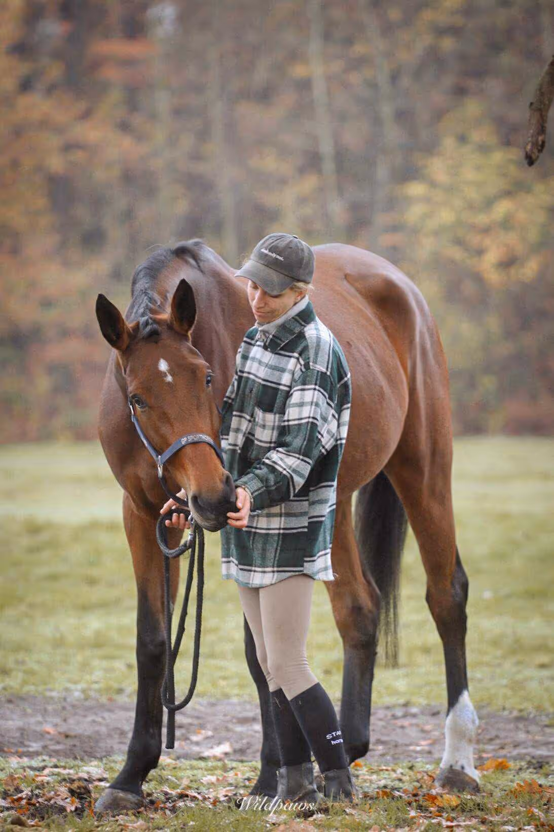 Een jonge vrouw in een geruit jasje en paardrijlaarzen streelt een bruin paard met een wit voorhoofdteken in een herfstachtige bosomgeving.