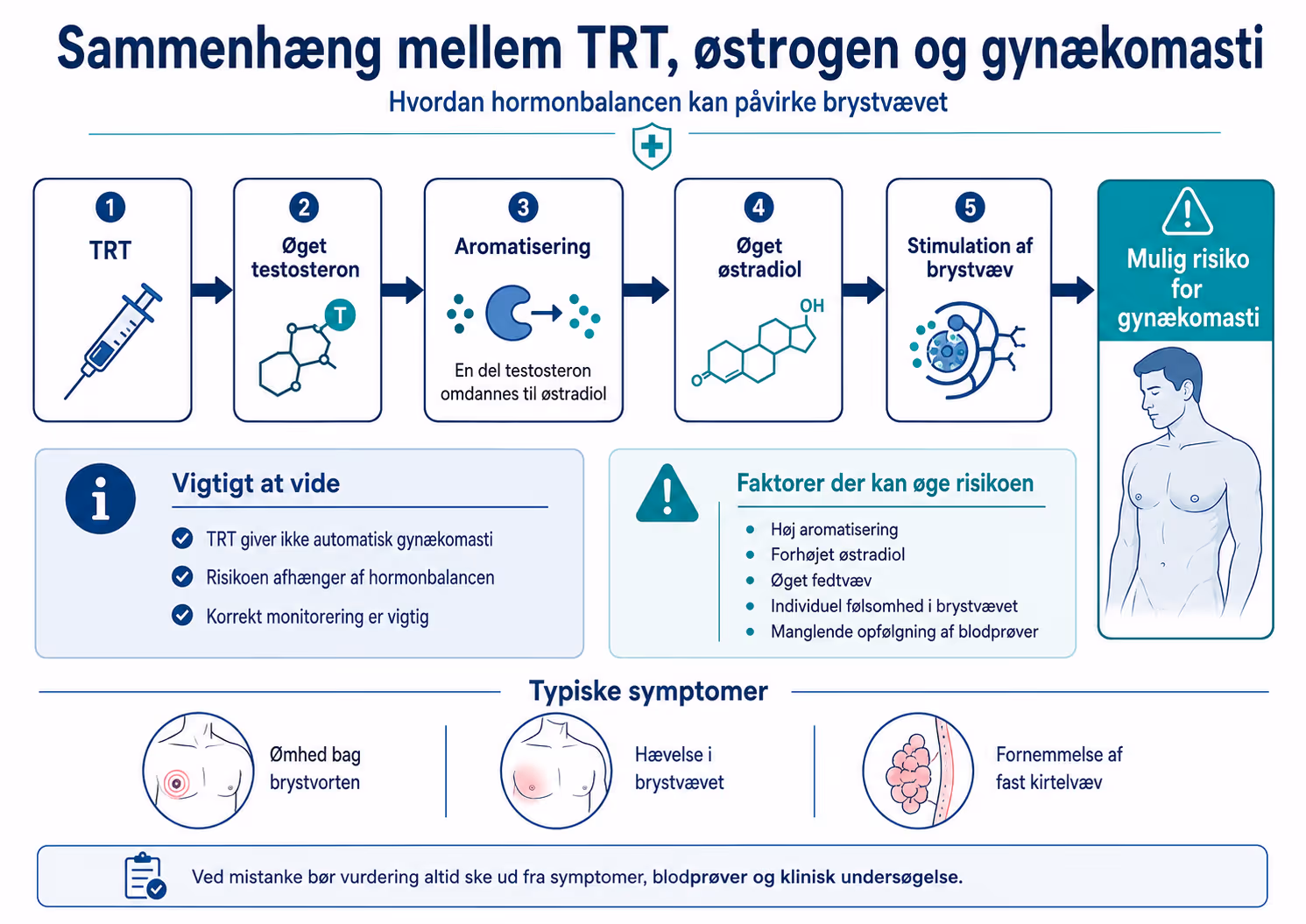 Diagram over sammenhængen mellem TRT, testosteron, aromatisering til østradiol og stimulation af brystvæv med mulig risiko for gynækomasti, samt typiske symptomer og risikofaktorer