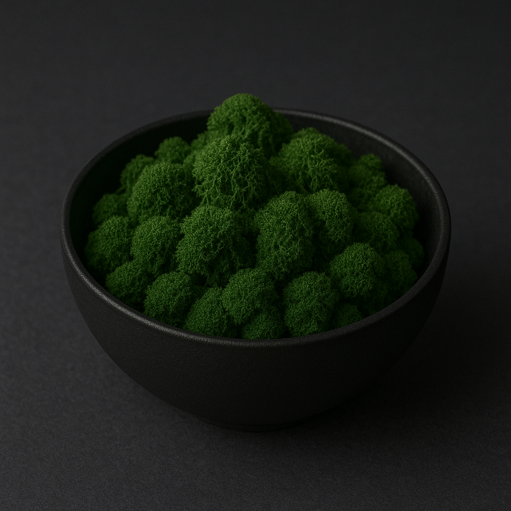 customized plan option scene 3