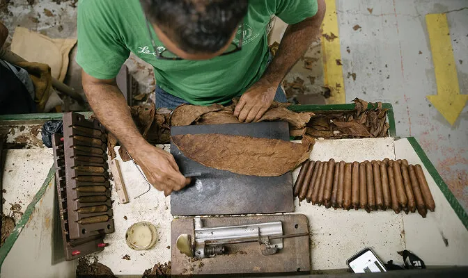 Overhead view of a person rolling cigars by hand on a work table with tobacco leaves and rolled cigars arranged nearby.