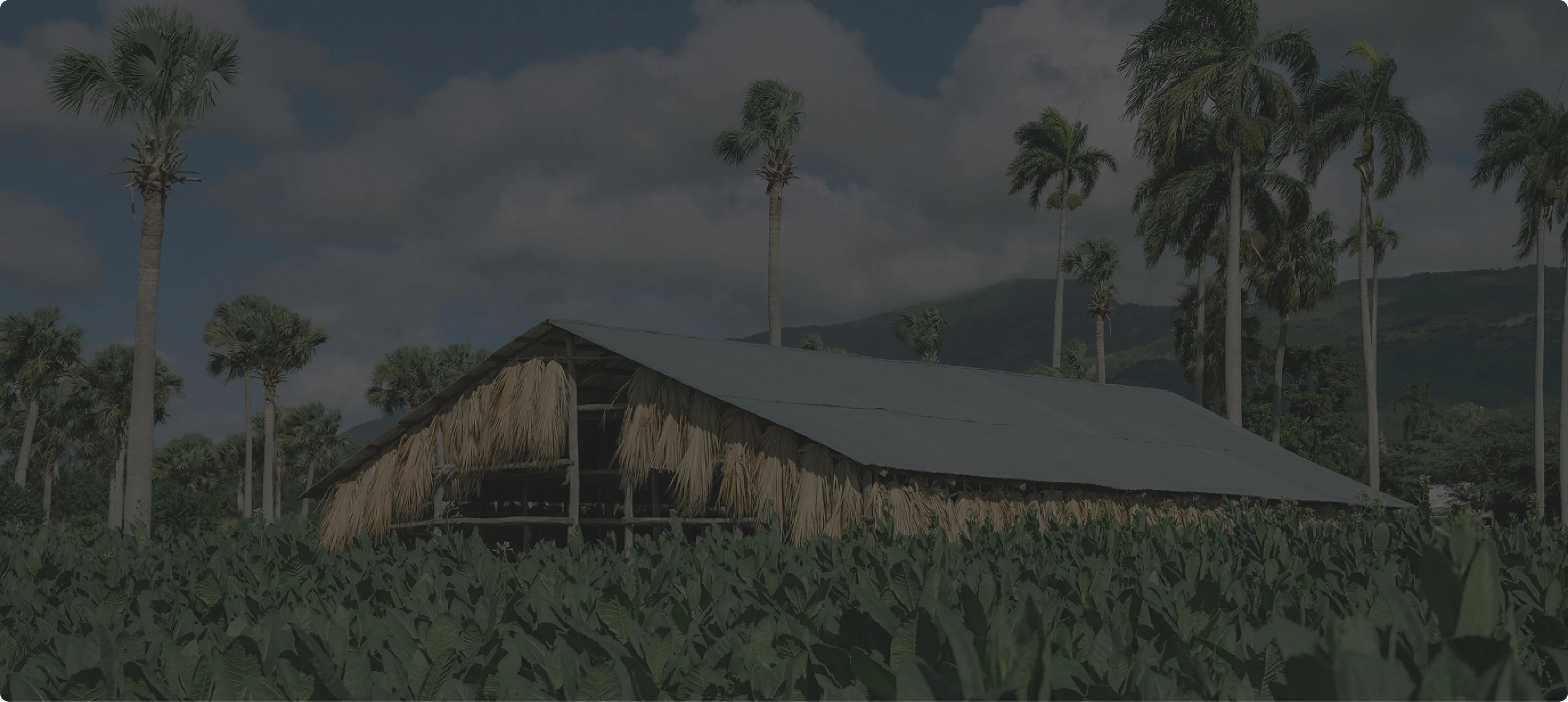 La Galera Youtube Video