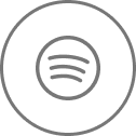 Spotify icon