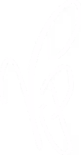 Client SACOMM - Signature Valentine POZZI