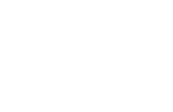 Shape Image