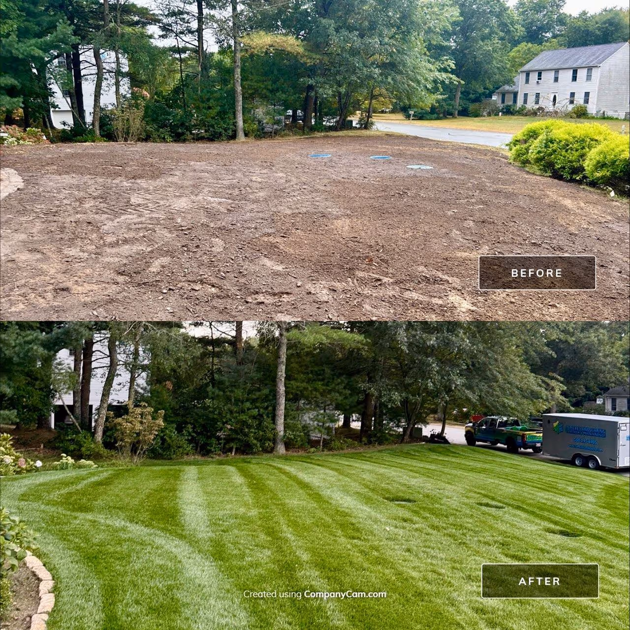 Before and after turf improvement showing thicker, greener lawn after professional fertilization and weed control