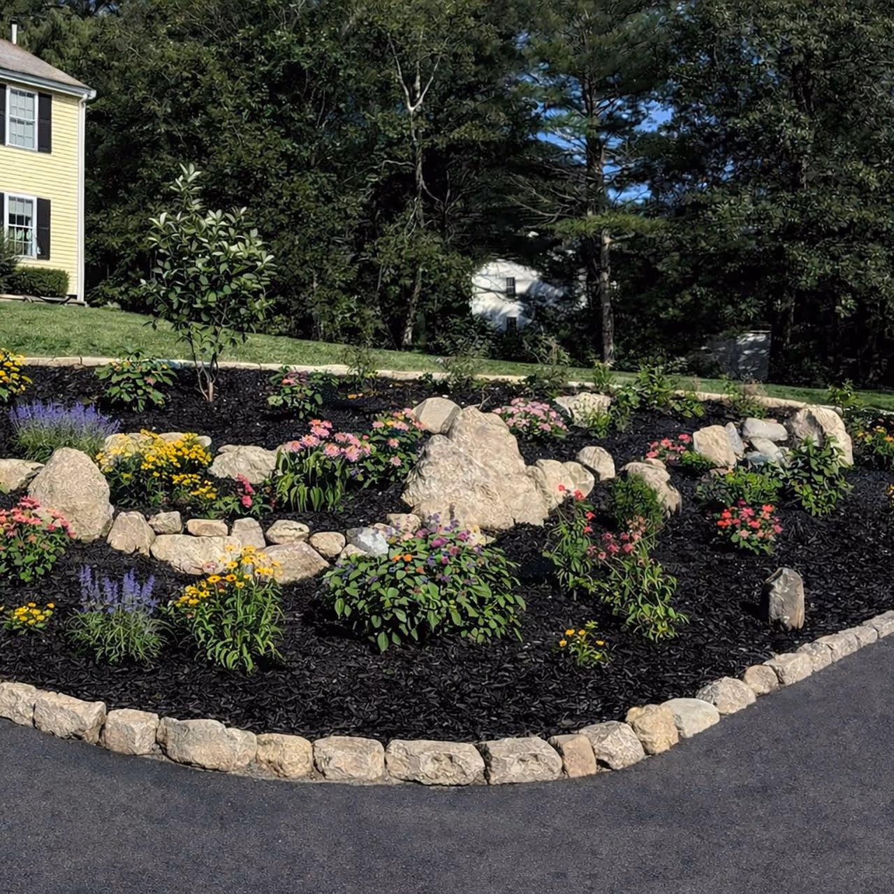 Beautifully landscaped front yard maintained by LaMere Landscaping