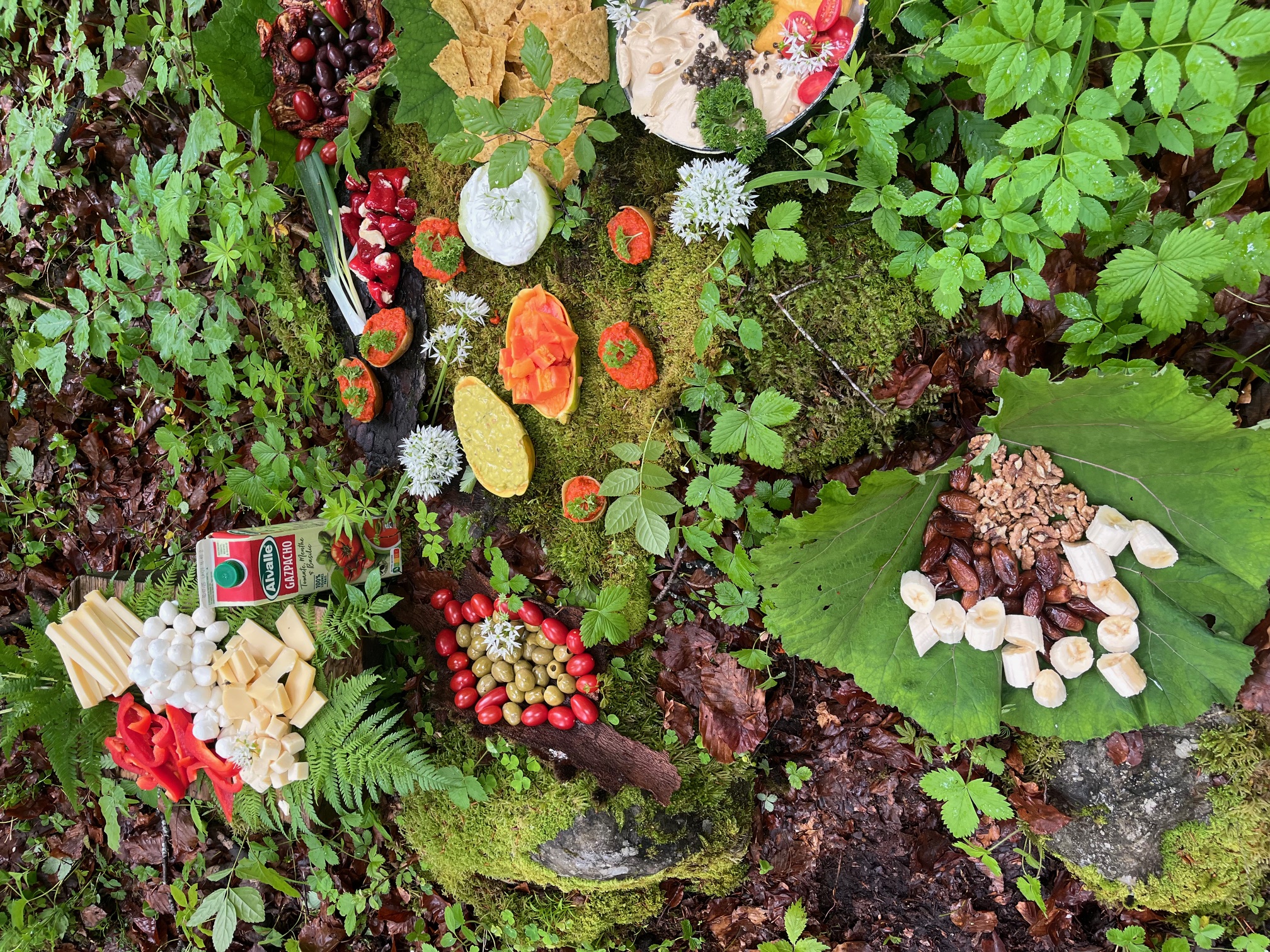 Verschiedene Käsesorten, Oliven, Paprika, Nüsse, Bananenstücke, Hummus und Gazpacho-Getränk auf Moos und Blättern im Wald arrangiert.