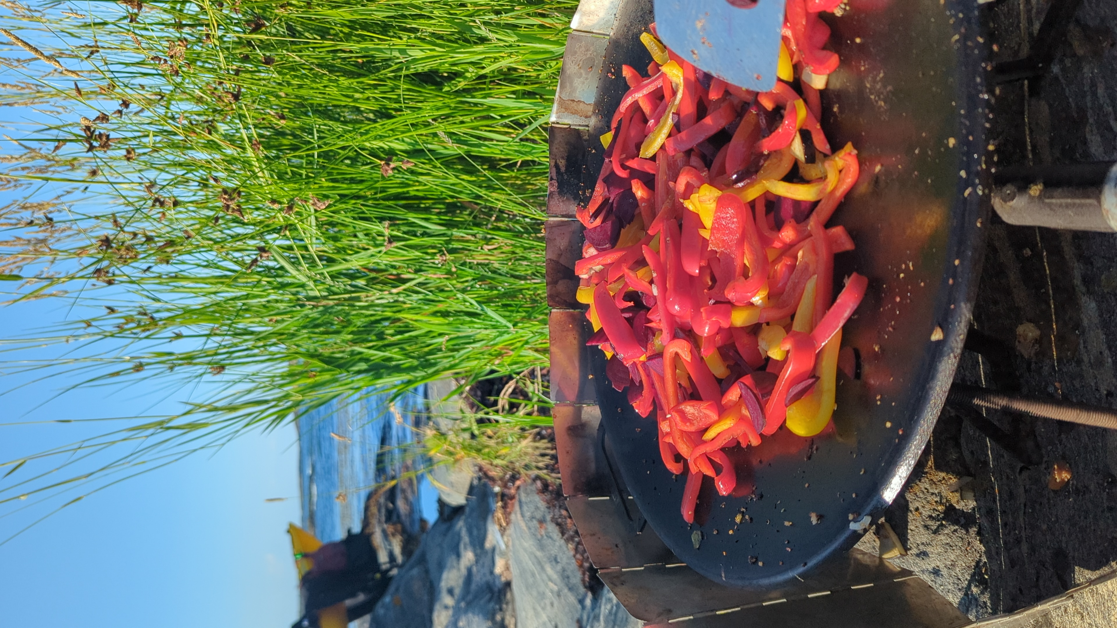 Bunte geschnittene Paprikastreifen werden auf einem Grill mit grüner Wiese und See im Hintergrund gebraten.
