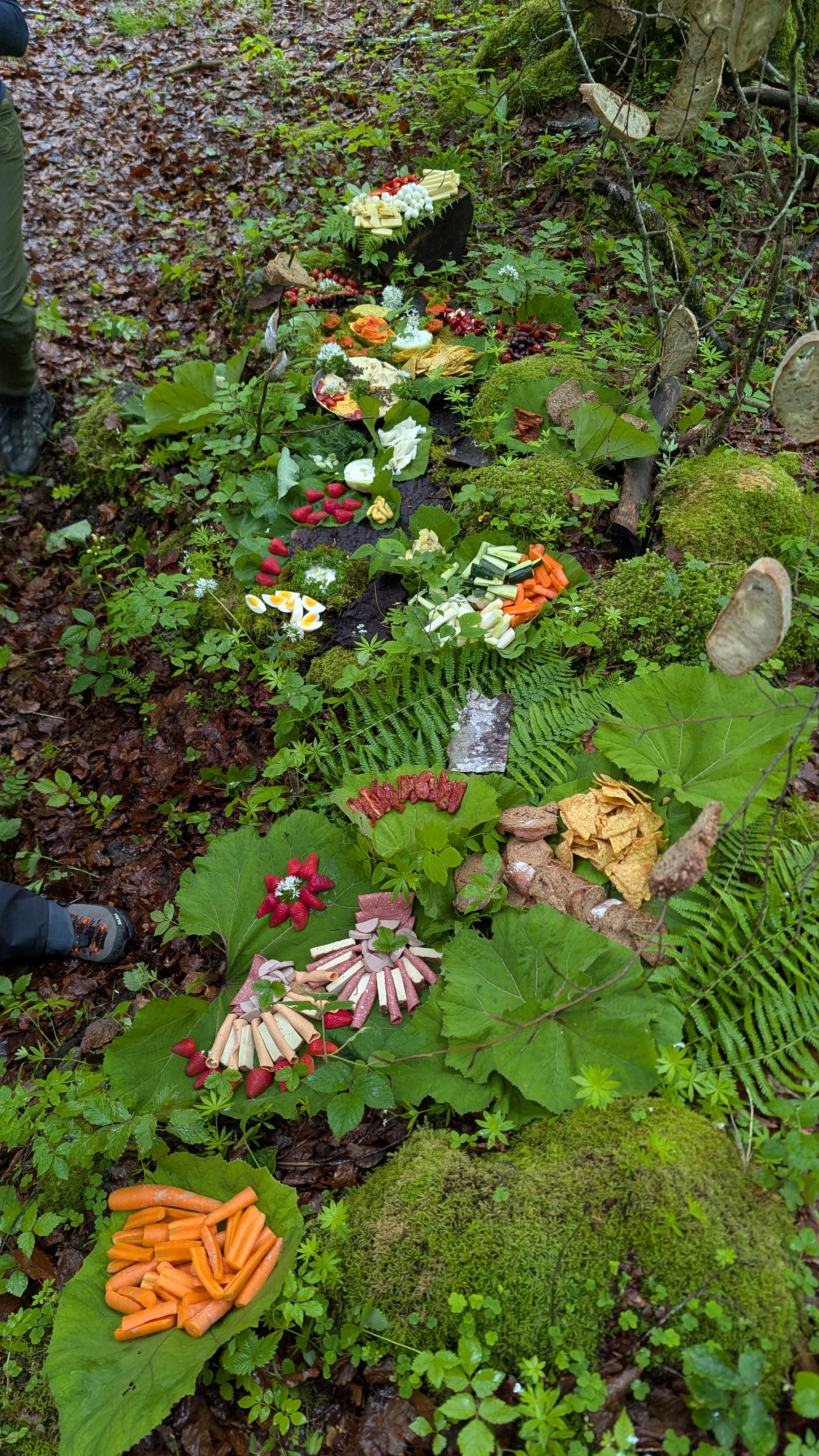 Verschiedene Snacks wie Karotten, Wurst, Käse, Eier und Chips kunstvoll auf grünen Blättern im Wald angerichtet.