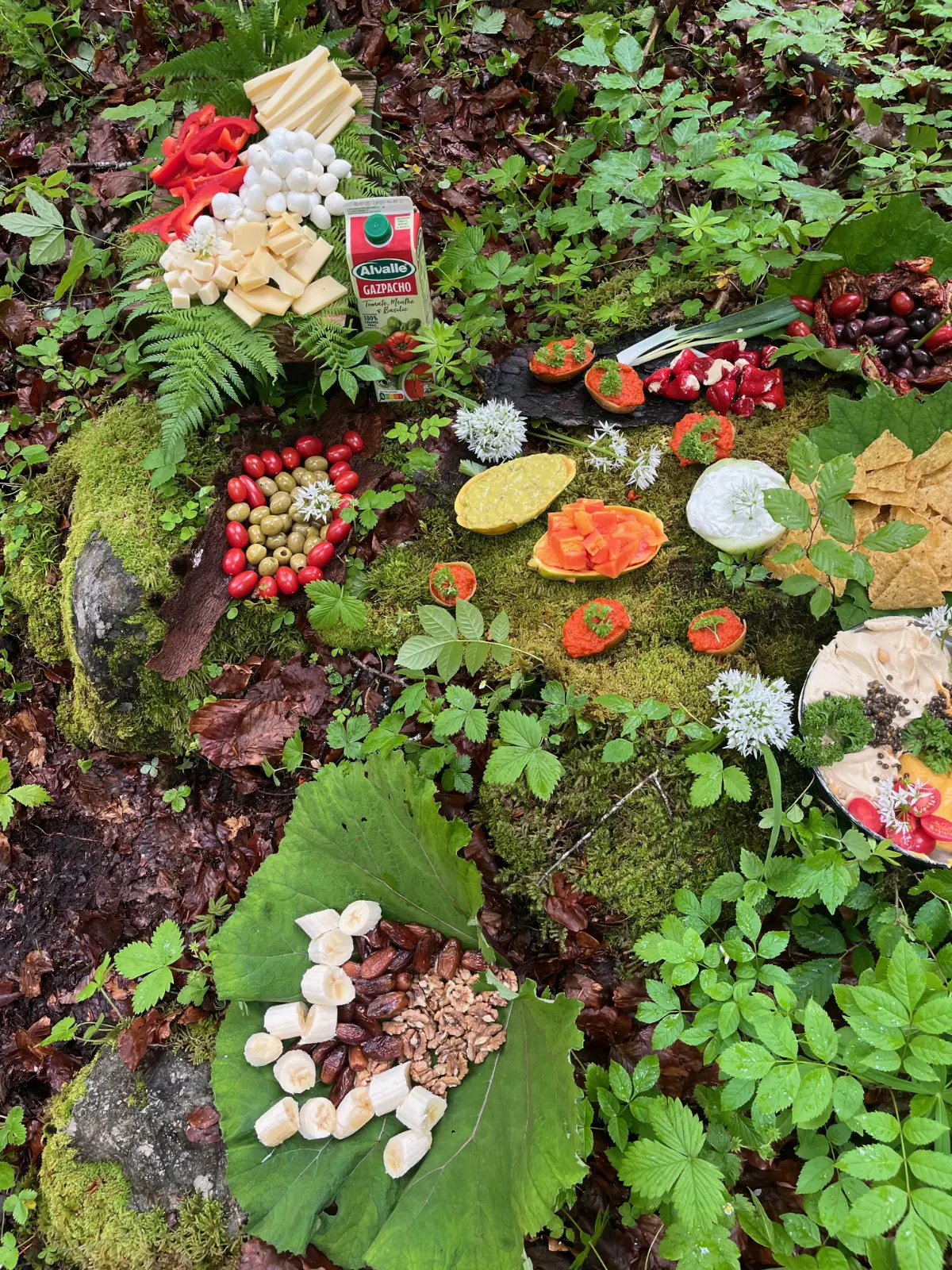 Auf Naturmoos liegende Platte mit geschnittenem Käse, Paprika, Oliven, Brotscheiben, Nüssen, Bananenstücken und pikanter Aufstriche, umgeben von grünem Laub im Wald.