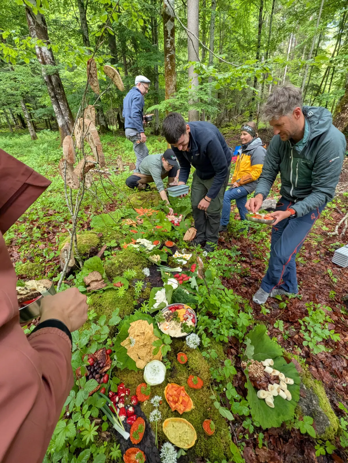 Mehrere Personen bereiten ein Picknick mit vielfältigen Speisen auf einer moosbedeckten Waldfläche vor.