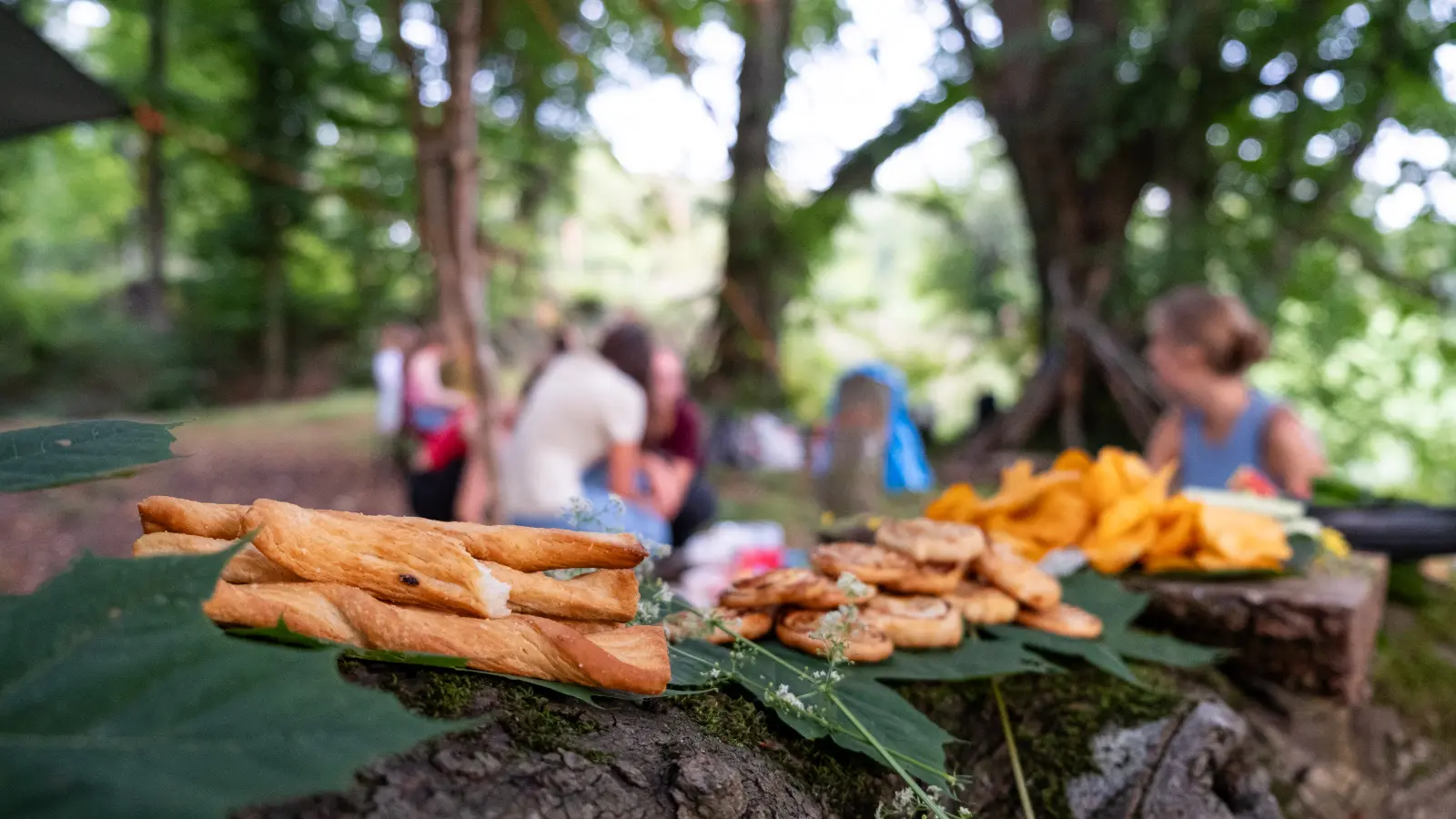 Verschiedene Snacks wie Gebäck und Chips auf grünen Blättern auf einem Baumstamm im Wald mit unscharfen Menschen im Hintergrund.