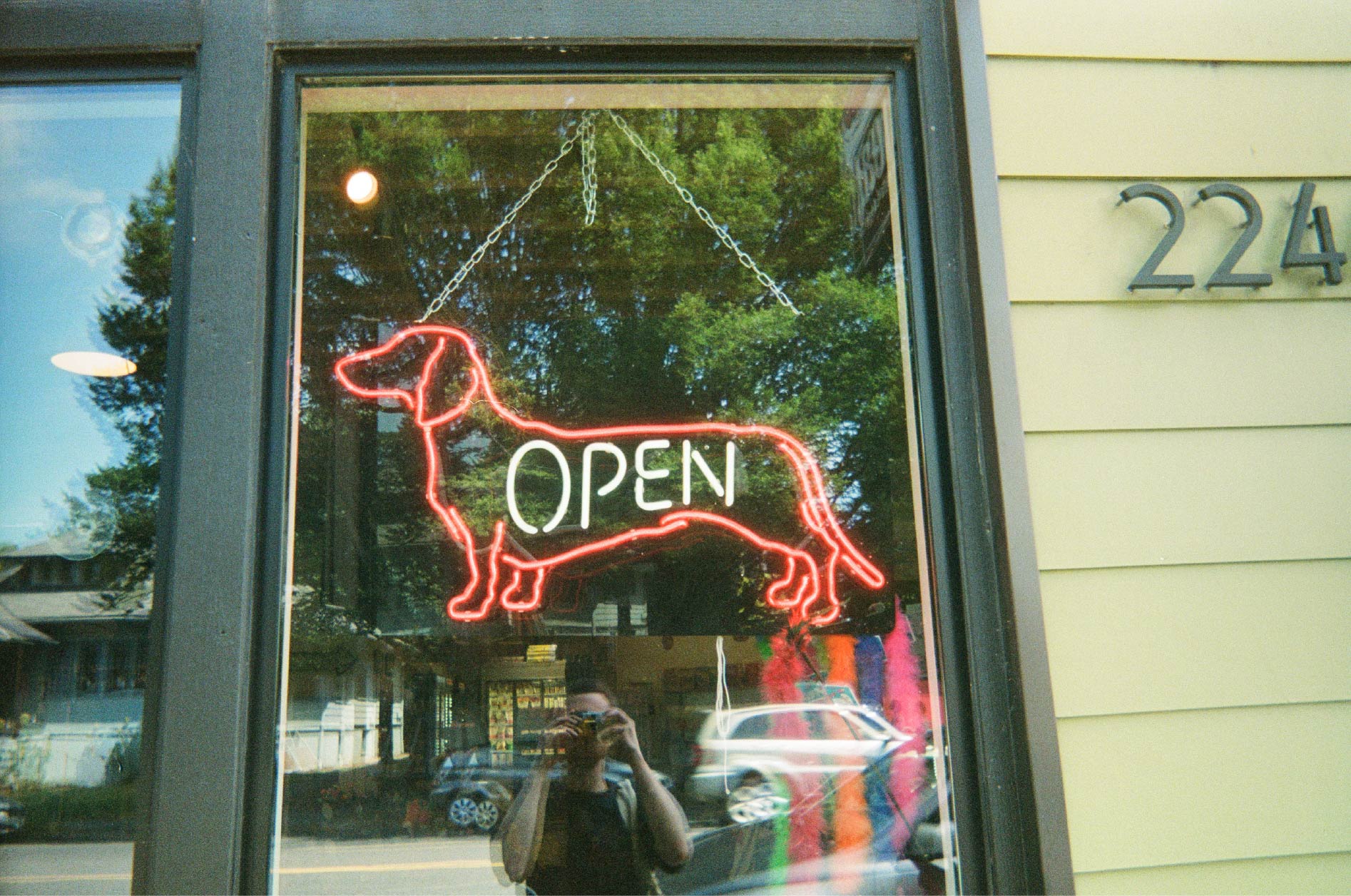 photo of neon "open" sign with a neon dachshund. Photo shot into window so reflection of photo taker in window