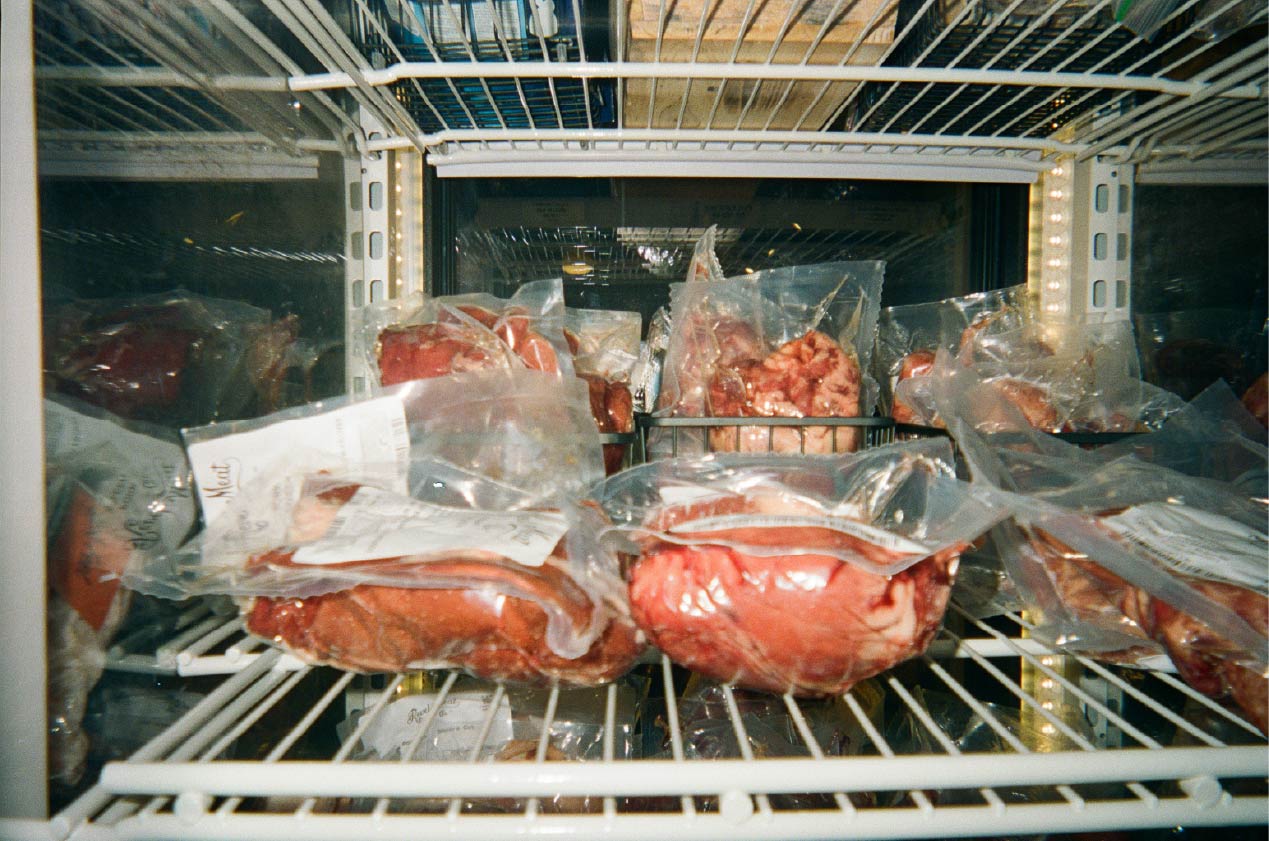 Interior of a freezer full of packages of raw meat for dogs to eat