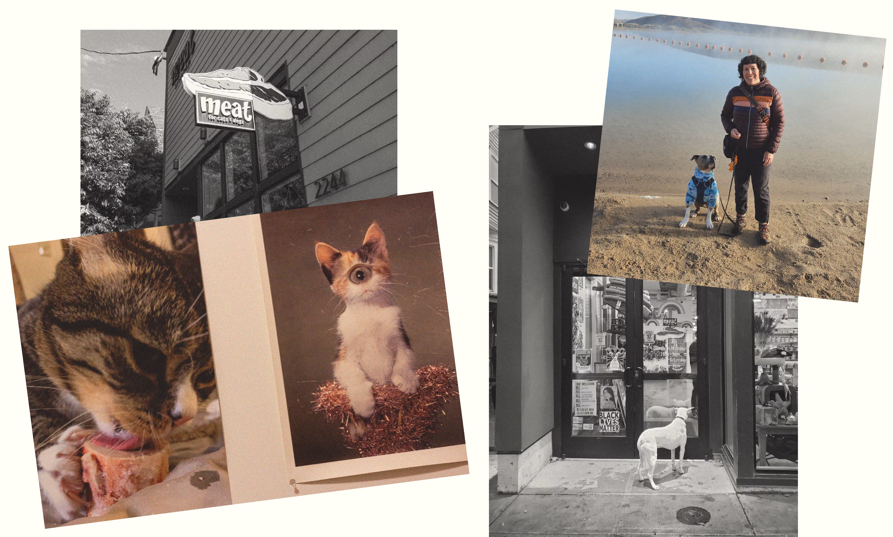 collage of 4 photos each showing an aspect of the meat store.