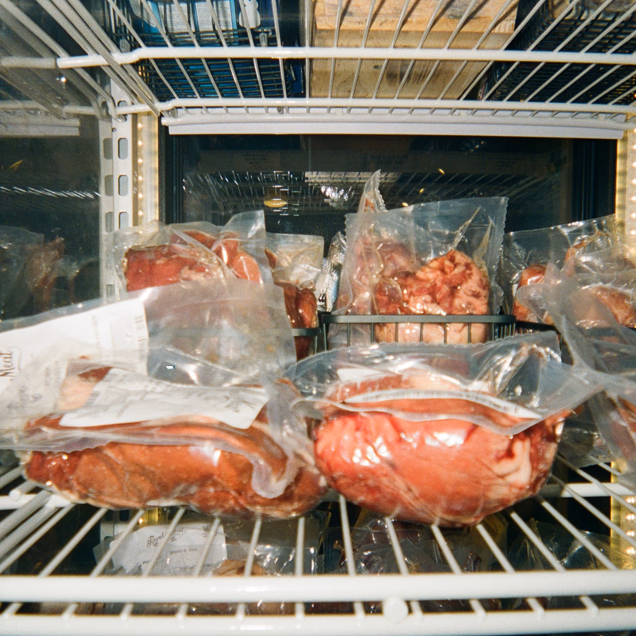 inside of of a cooler full of raw food for dogs