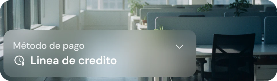 Clara bento 02 for Mexico.